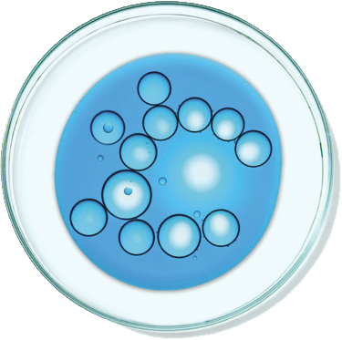 Niacinamide
