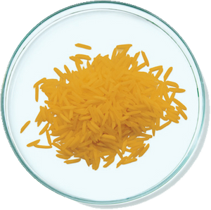 Ferulic Acid