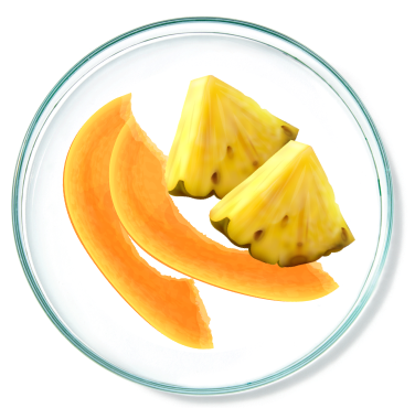 Papaya and Pineapple Enzymes
