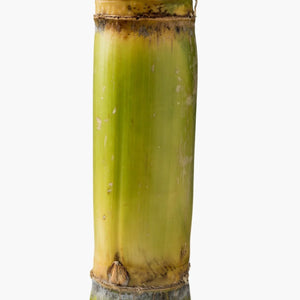 Glycolic Acid