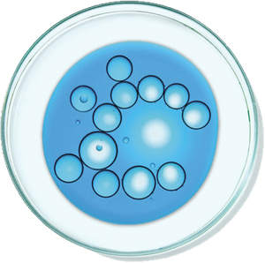 Niacinamide