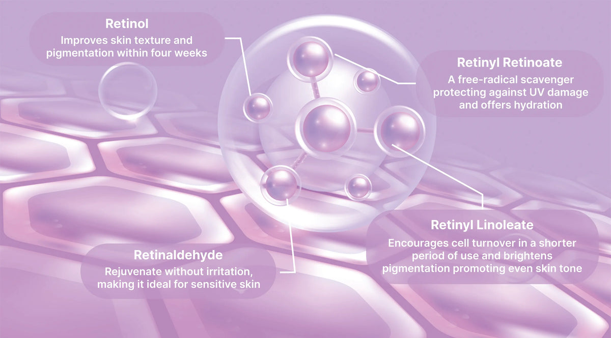 Retinoid forms in the skin: retinol, retinyl retinoate, retinaldehyde and retinyl linoleate